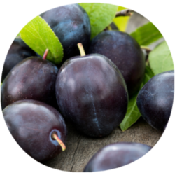 Ciruelo QUETSCHE DALASSE