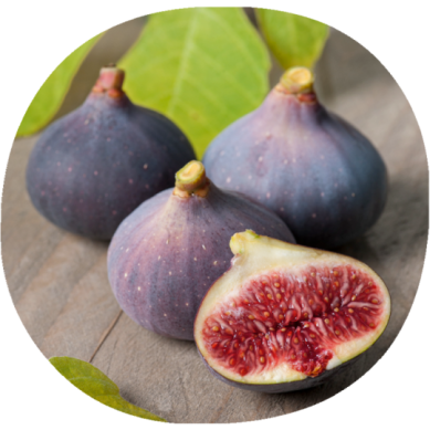 Higuera BURJASOT NOIRE