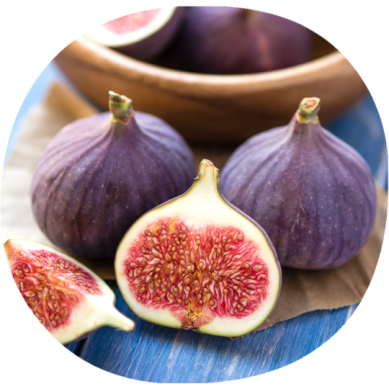 Higuera RONDE DE BOURDEAUX