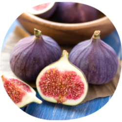 Higuera RONDE DE BOURDEAUX