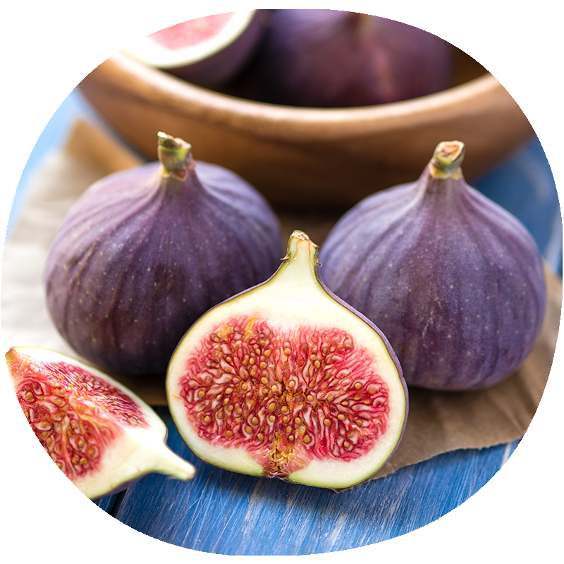 Higuera RONDE DE BOURDEAUX