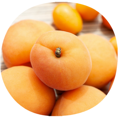 Albaricoque MONIQUI