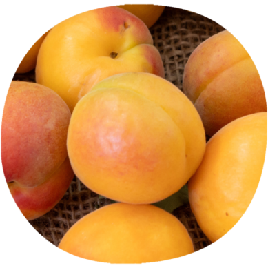 Albaricoque TARDORANGE®