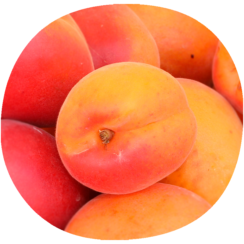 Albaricoque VALORANGE®
