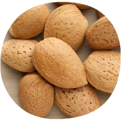 Almendro AVIJOR L.