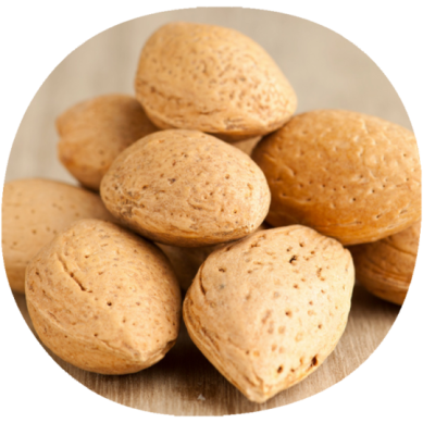 Almendro BELONA®