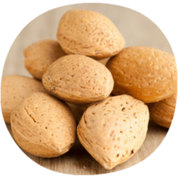 Almendro BELONA®