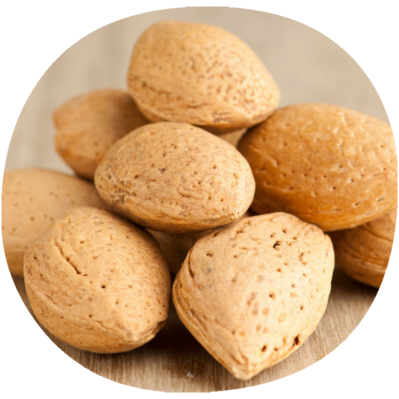 Almendro BELONA®