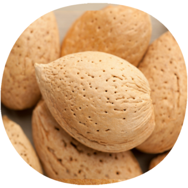 Almendro GUARA