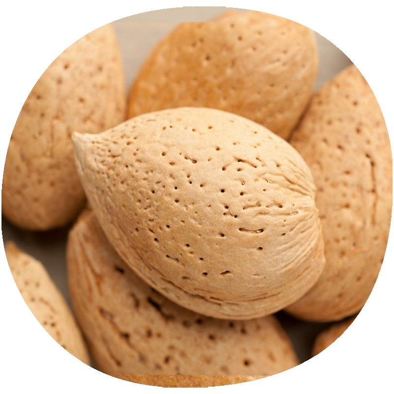 Almendro GUARA