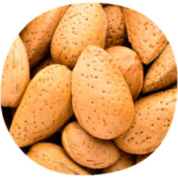 Almendro MAKAKO®