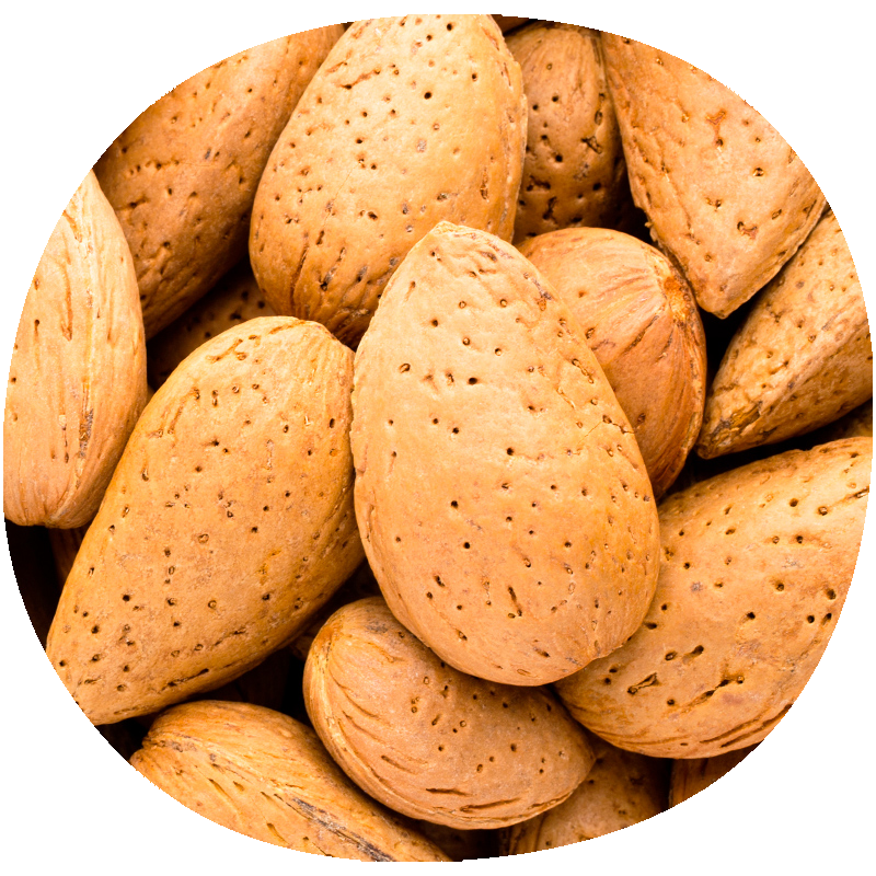 Almendro MAKAKO®