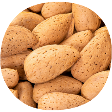 Almendro MONTERREY