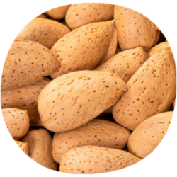 Almendro MONTERREY