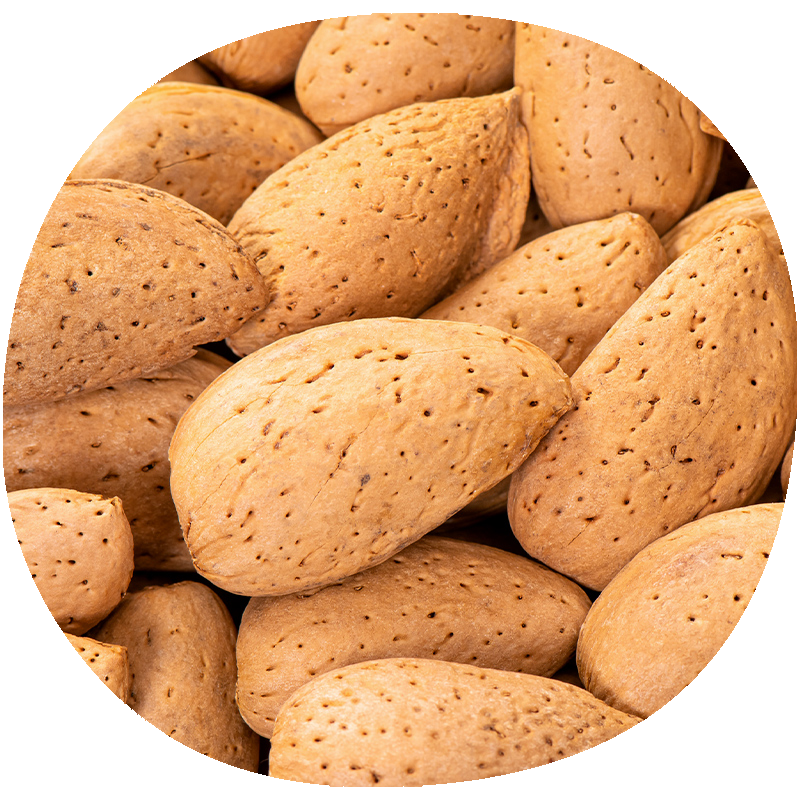 Almendro MONTERREY