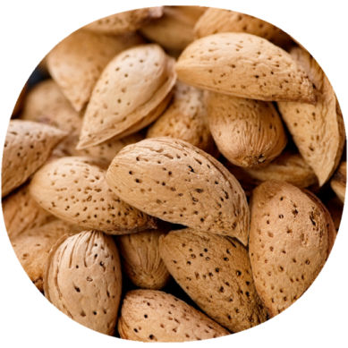 Almendro NONPAREL