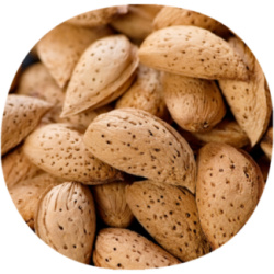 Almendro NONPAREL