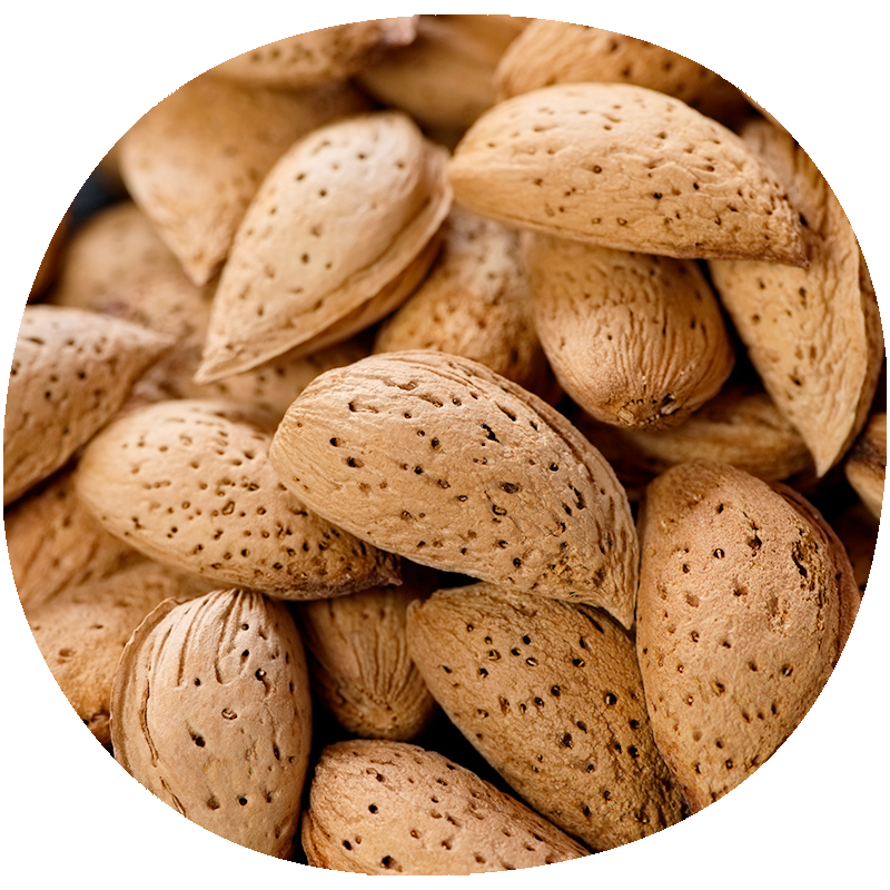 Almendro NONPAREL