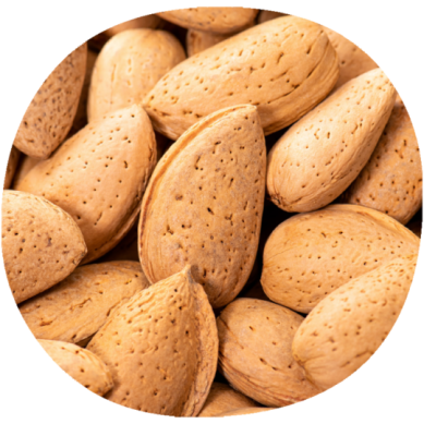 Almendro PENTA®