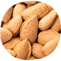 Almendro PENTA®