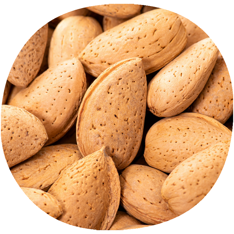 Almendro PENTA®