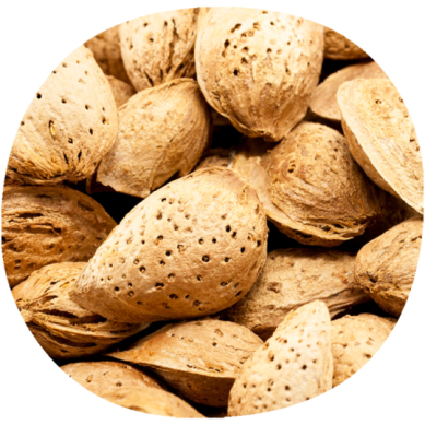 Almendro SOLETA®