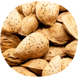 Almendro SOLETA®
