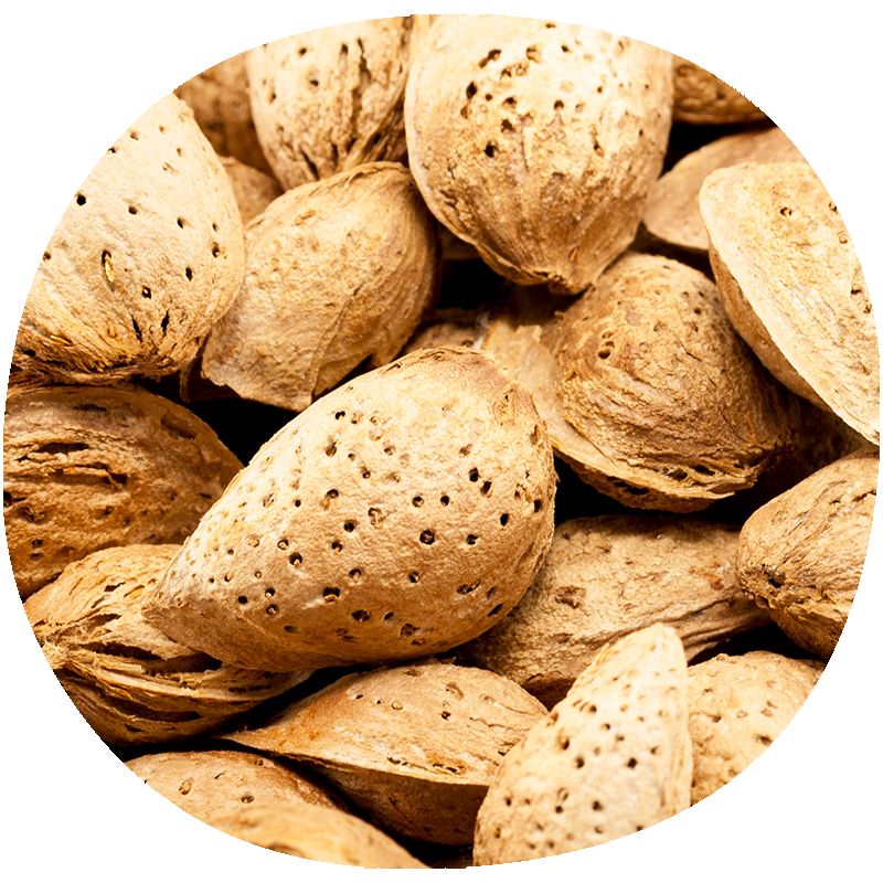 Almendro SOLETA®