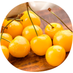 Cerezo BLANCA DE PROVENZA