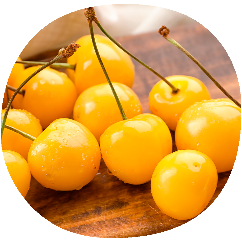 Cerezo BLANCA DE PROVENZA