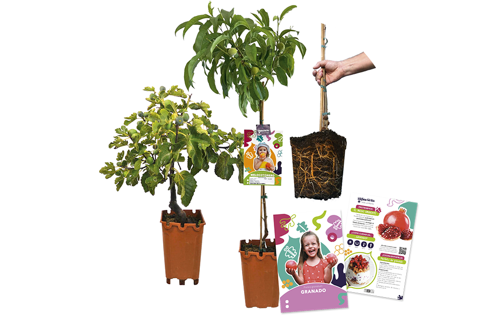  Nuestros frutales
150...